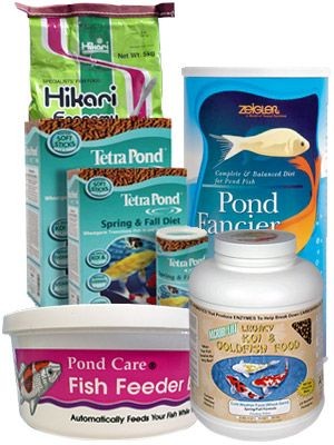 Fish Foods for Koi and Goldfish 