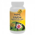 Lily Gro